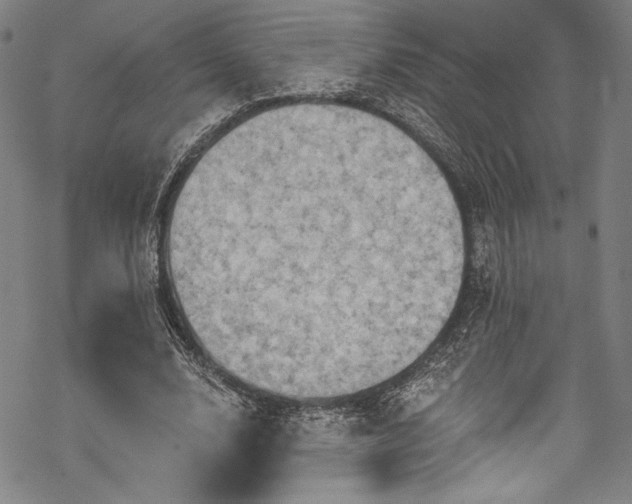 X0000068740632200605051452