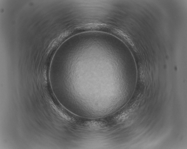 X0000068740633200605051452