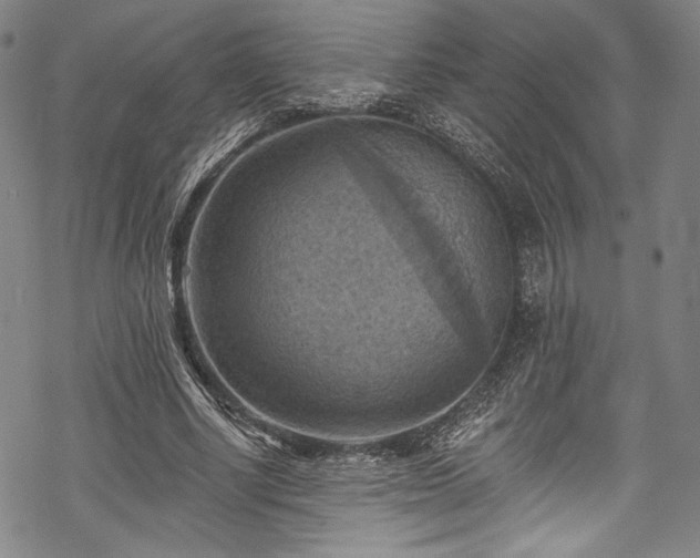 X0000068740634200605051452