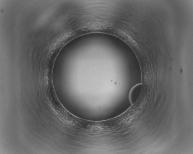 X0000068740635200605051452