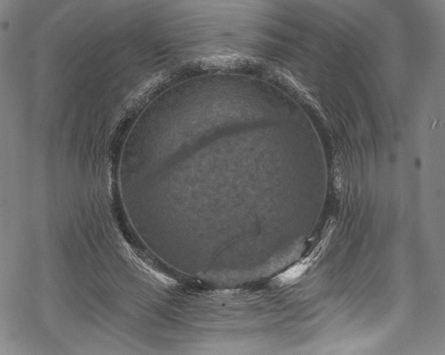 X0000068740637200605051452