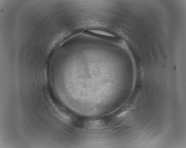 X0000068740638200605051452