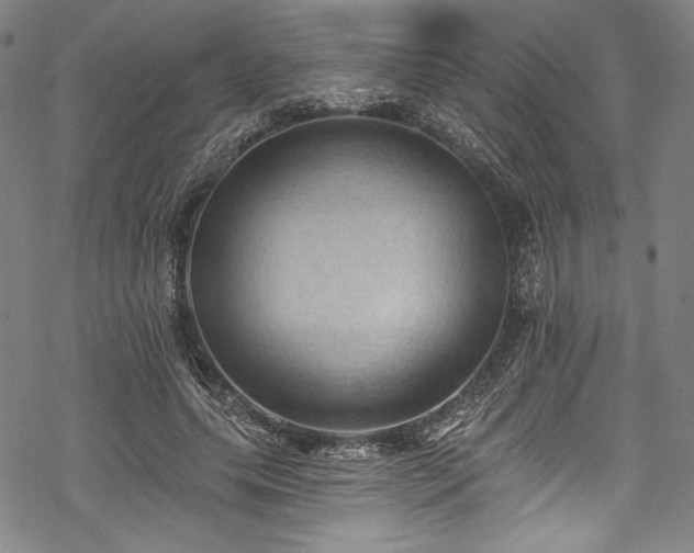 X0000068740639200605051452