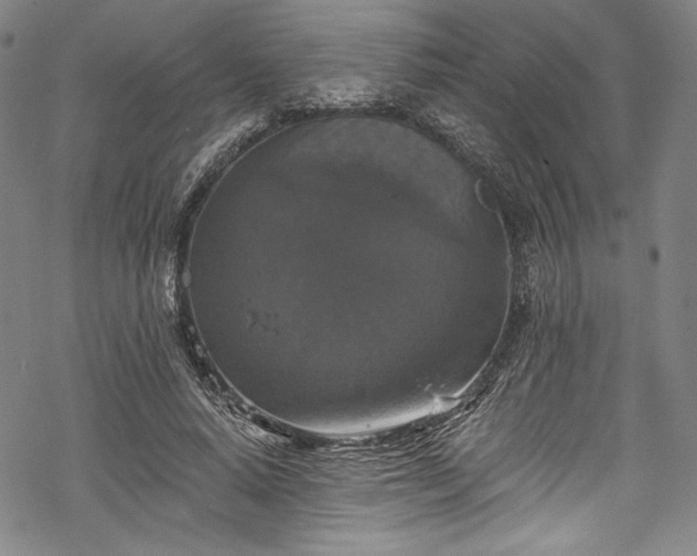 X0000068740640200605051452