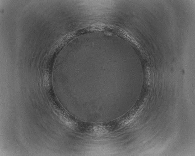 X0000068740641200605051452