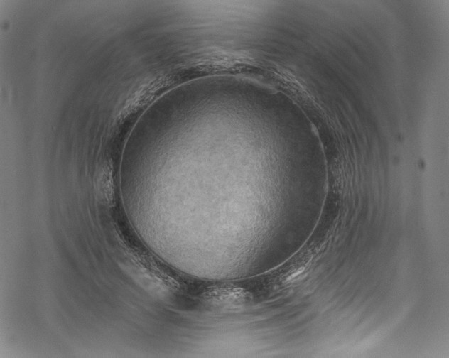 X0000068740642200605051452