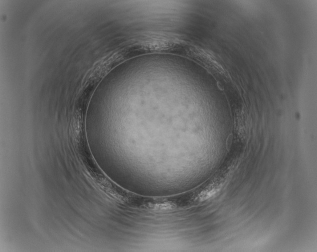 X0000068740645200605051452