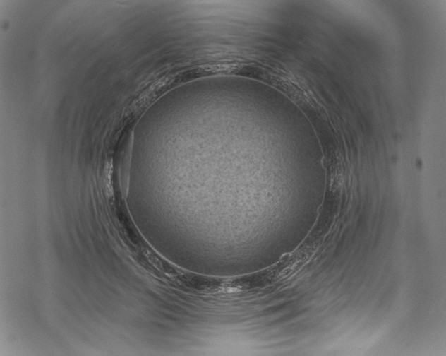 X0000068740647200605051452