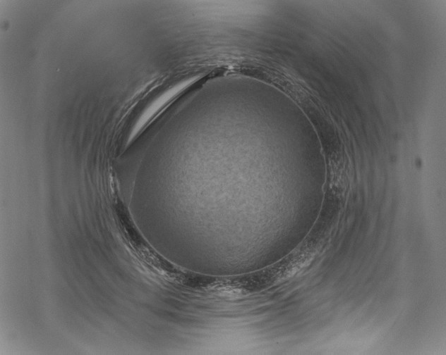 X0000068740648200605051452