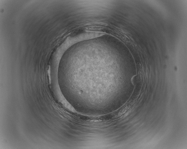 X0000068740649200605051452