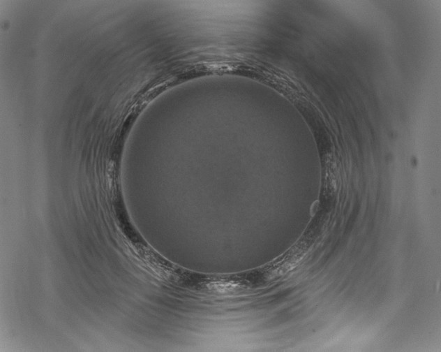 X0000068740650200605051452