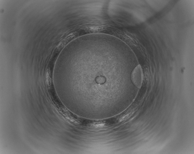 X0000068740651200605051452