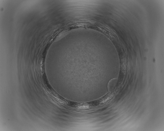 X0000068740653200605051452