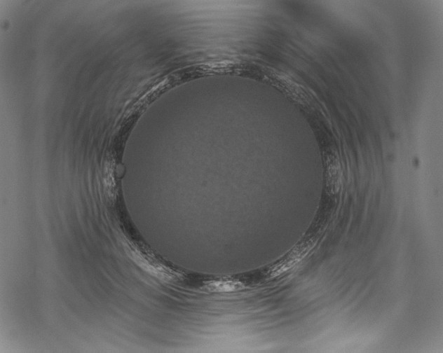 X0000068740654200605051452