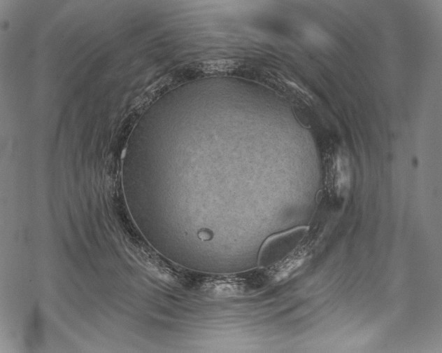 X0000068740655200605051452