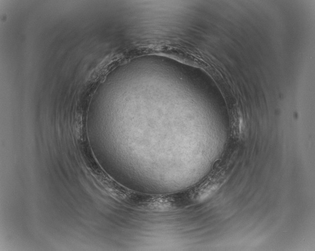 X0000068740656200605051452