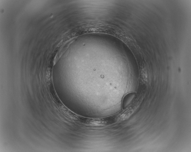 X0000068740657200605051452