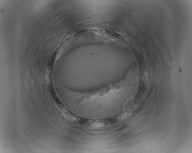 X0000068740658200605051452