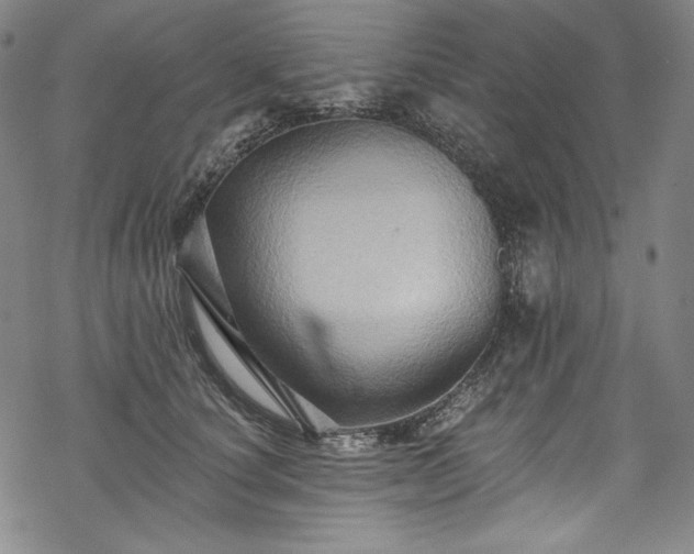 X0000068740660200605051452