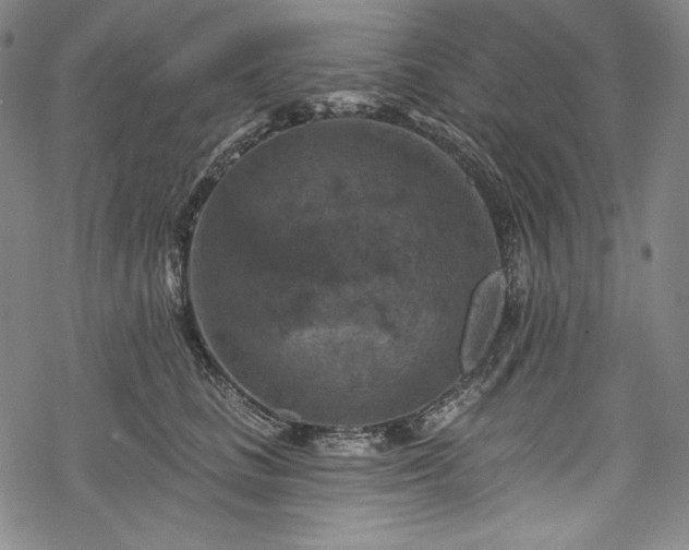 X0000068740661200605051452