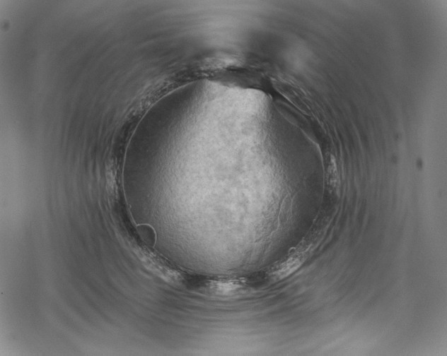 X0000068740662200605051452