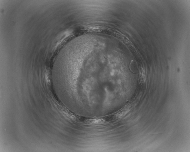 X0000068740663200605051452