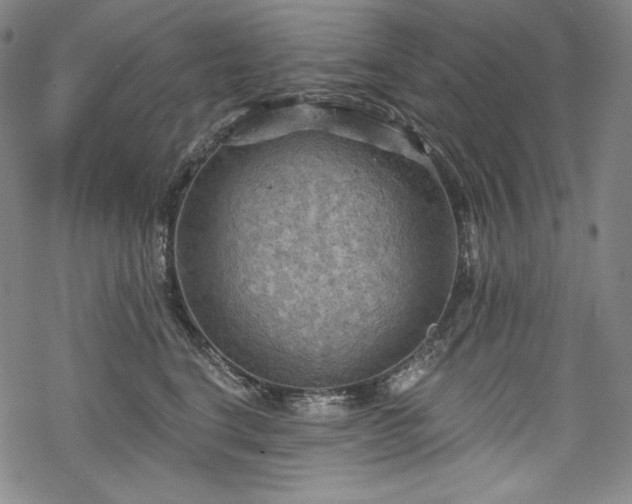 X0000068740664200605051452