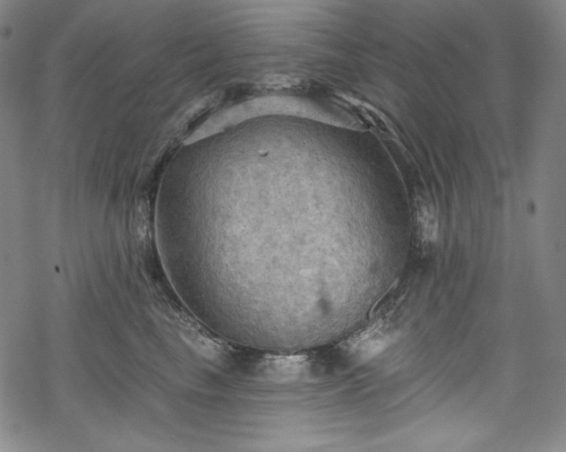 X0000068740665200605051452