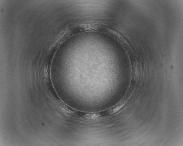 X0000068740667200605051452