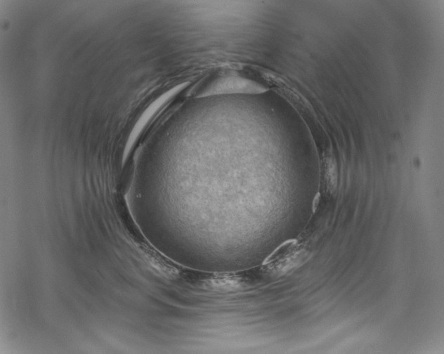 X0000068740668200605051452