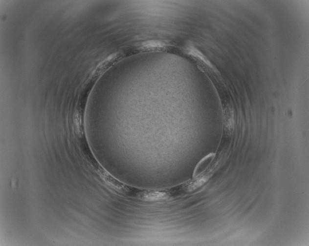 X0000068740669200605051452