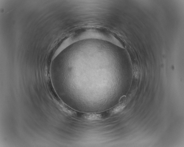 X0000068740670200605051452