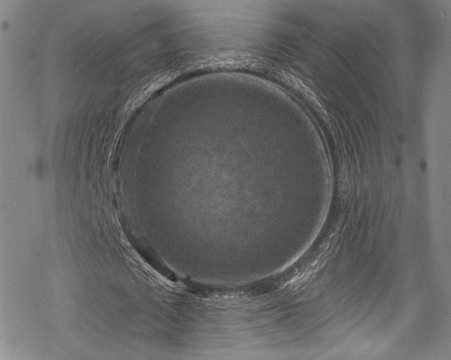 X0000068740673200605051452