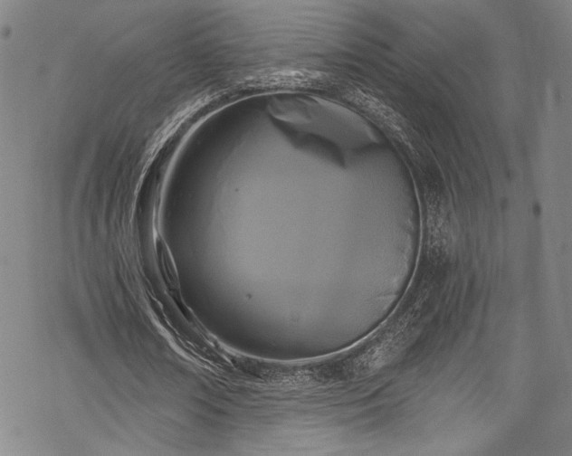 X0000068740674200605051452