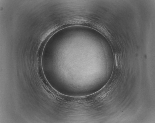 X0000068740675200605051452