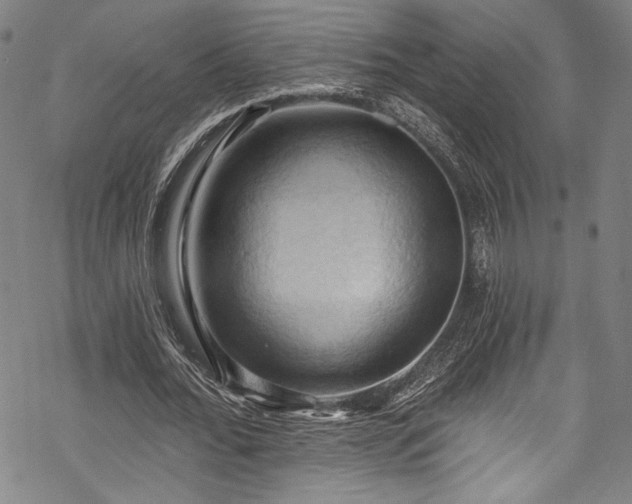 X0000068740676200605051452