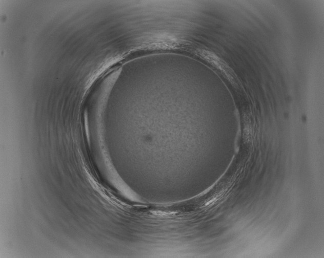 X0000068740677200605051452