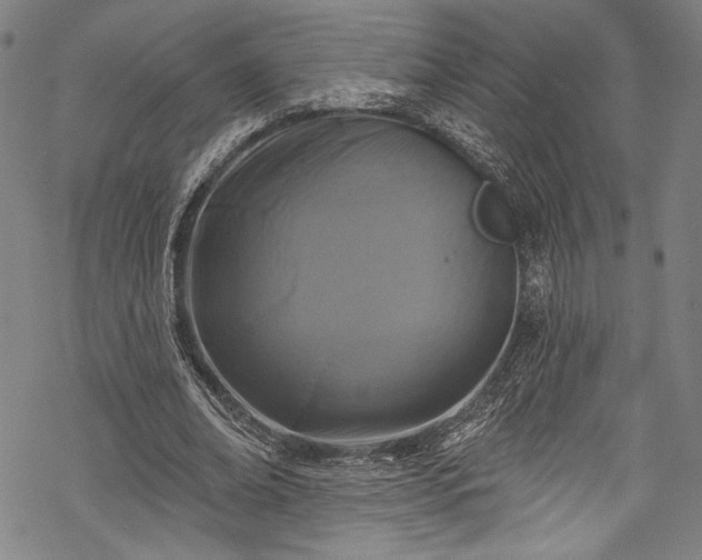 X0000068740678200605051452