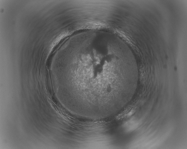 X0000068740679200605051452