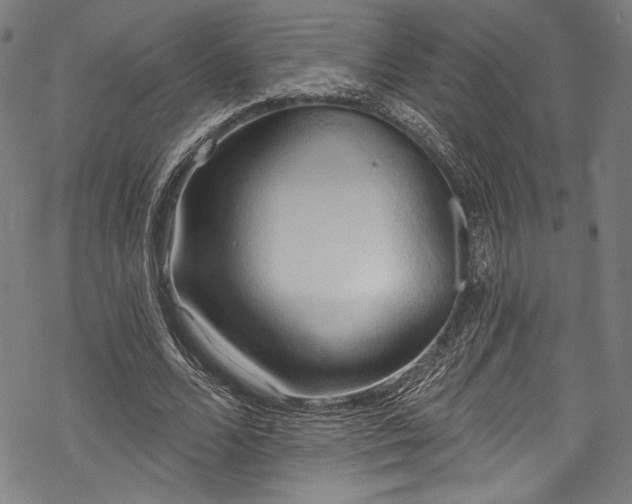 X0000068740680200605051452