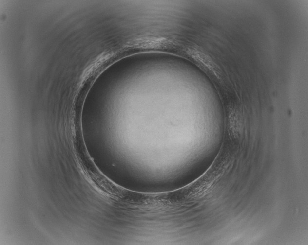 X0000068740682200605051452