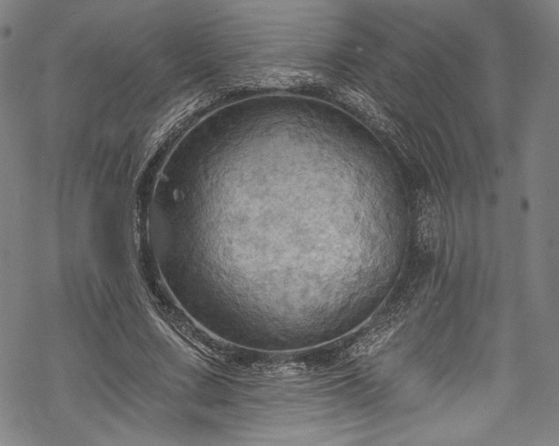 X0000068740683200605051452