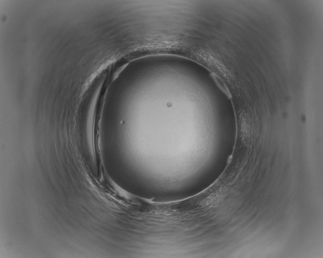 X0000068740684200605051451