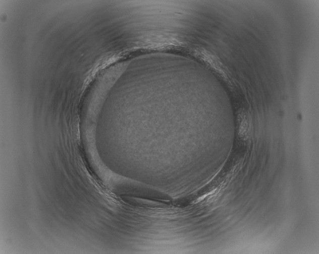 X0000068740685200605051451