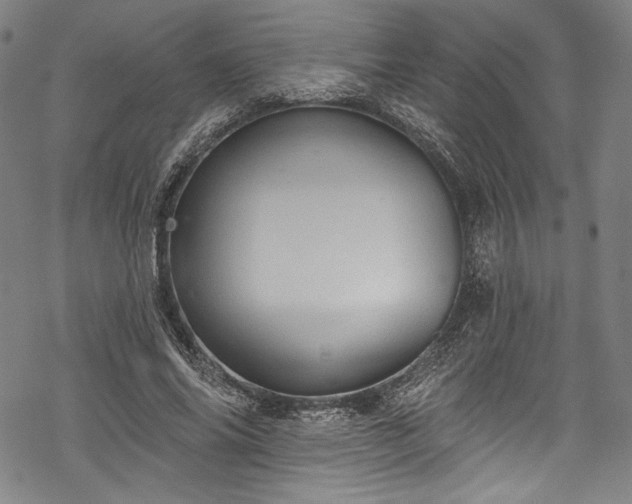 X0000068740686200605051451