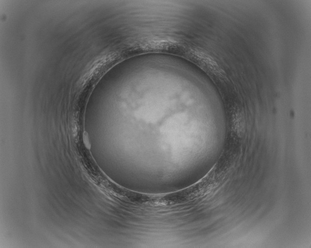 X0000068740687200605051451