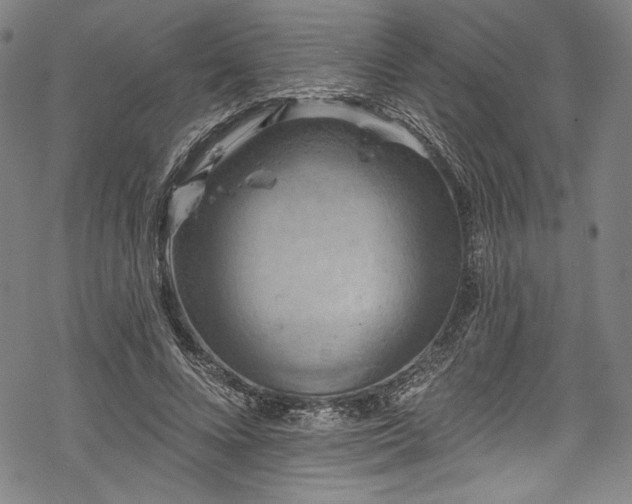 X0000068740688200605051451