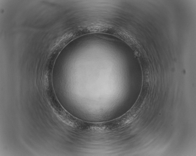 X0000068740690200605051451