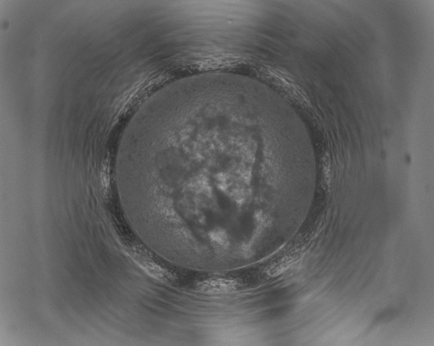 X0000068740691200605051451