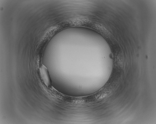 X0000068740694200605051451